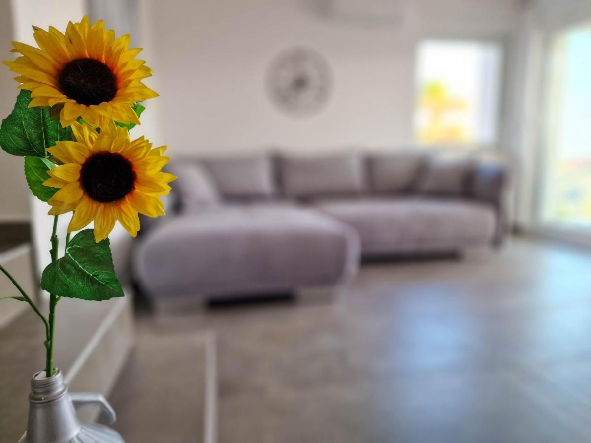 Villa Poseidon Novalja Εξωτερικό φωτογραφία